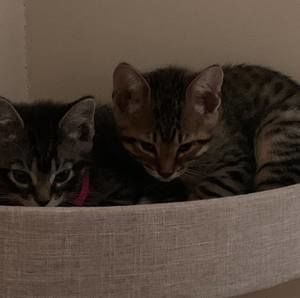 Meet your Posher, Christine